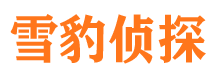 七里河外遇调查取证